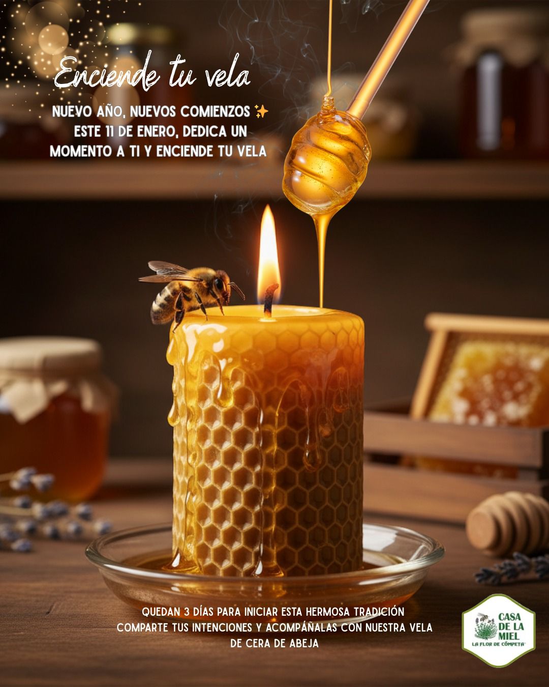 Contenido Visual Lifestyle y Storytelling de Marca